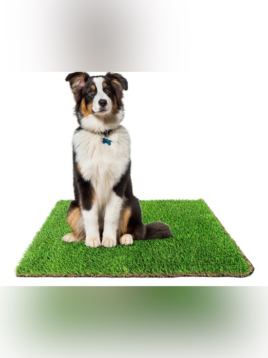 Other - Artificial Grass Potty Pad for Dogs - 20 x 30 inches brand new sealed